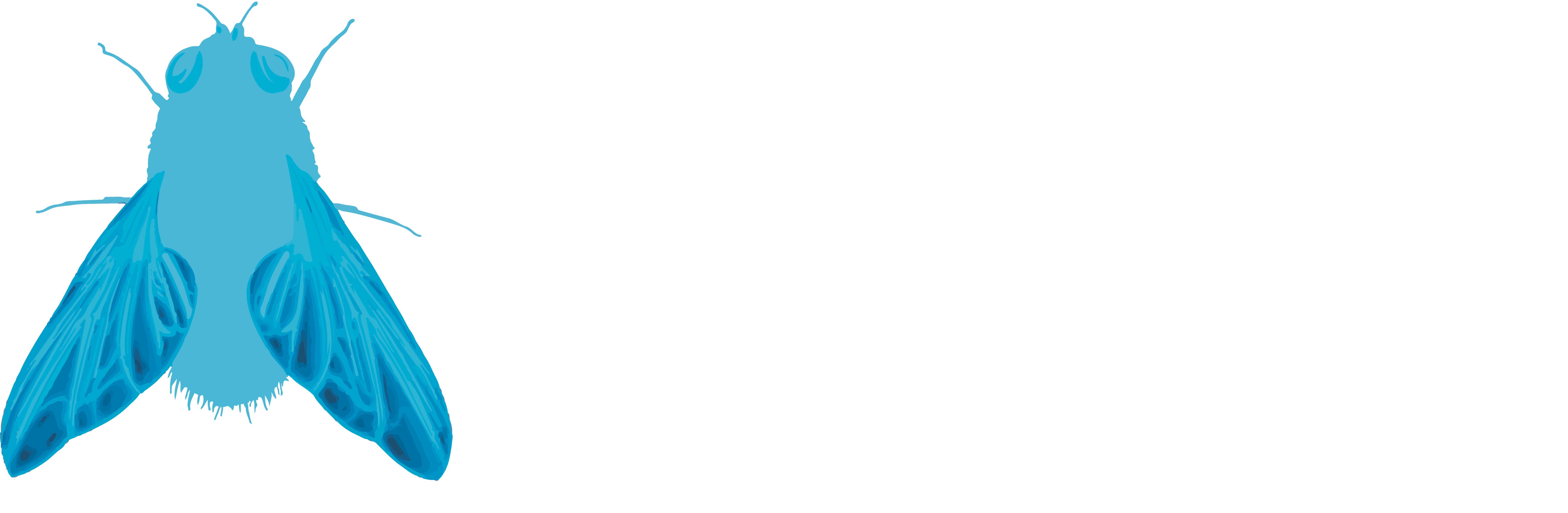 cryptfly logo